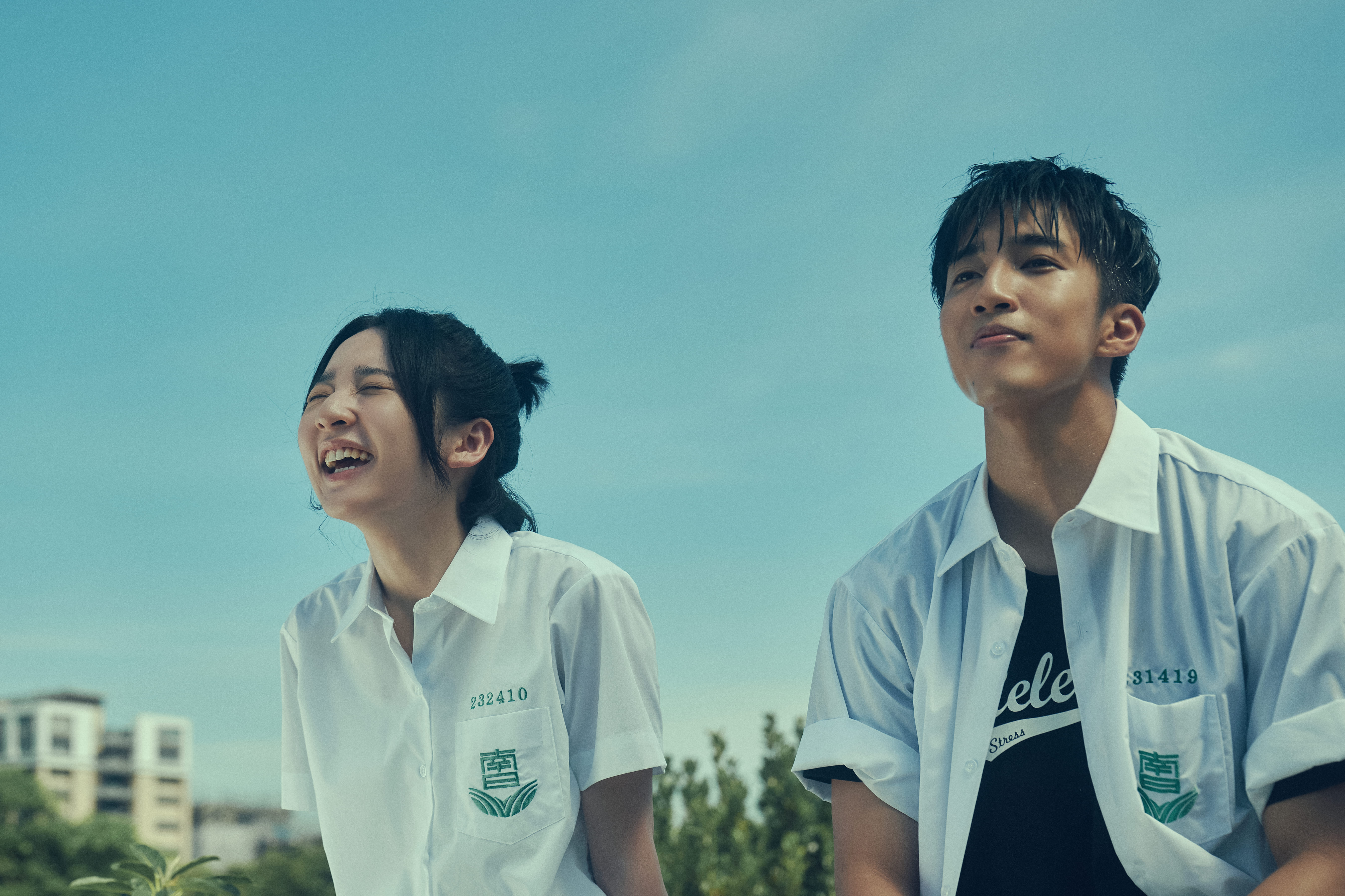 《夏日的檸檬草》上映首週末票房破650萬！李沐、曹佑寧、婁峻碩全台影廳跑透透