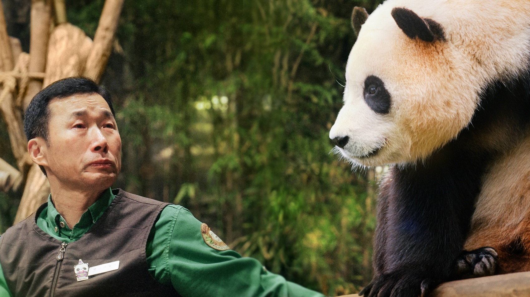 LINE TODAY電影聲量榜《再見，福寶》勝過丁海寅！恐怖驚悚類占3部