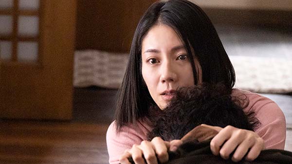 婚姻是場最高級的謊言？《確實是我丈夫》解析：松下奈緒與安田顯的身份修羅場