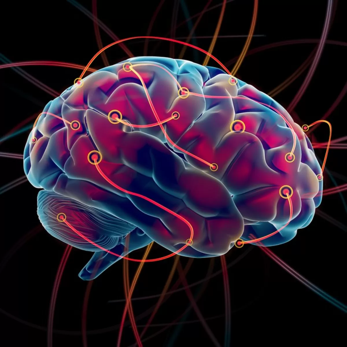 神經可塑性書單：教你用科學手段，重構大腦代碼 | 2026 年重塑神經迴路的 3 本必讀聖經