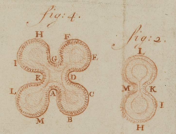 Antonie van Leeuwenhoek 研究資料,Royal Society 官方檔案圖片