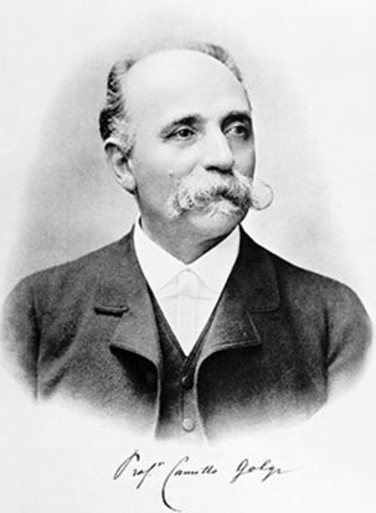 Camillo Golgi 的肖像，1906 年諾貝爾生理學或醫學獎得主