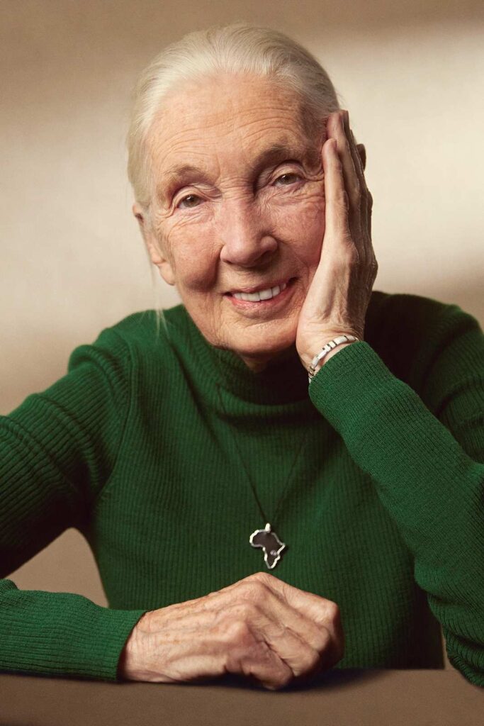 Jane Goodall 肖像,野生黑猩猩研究與保育倡議者