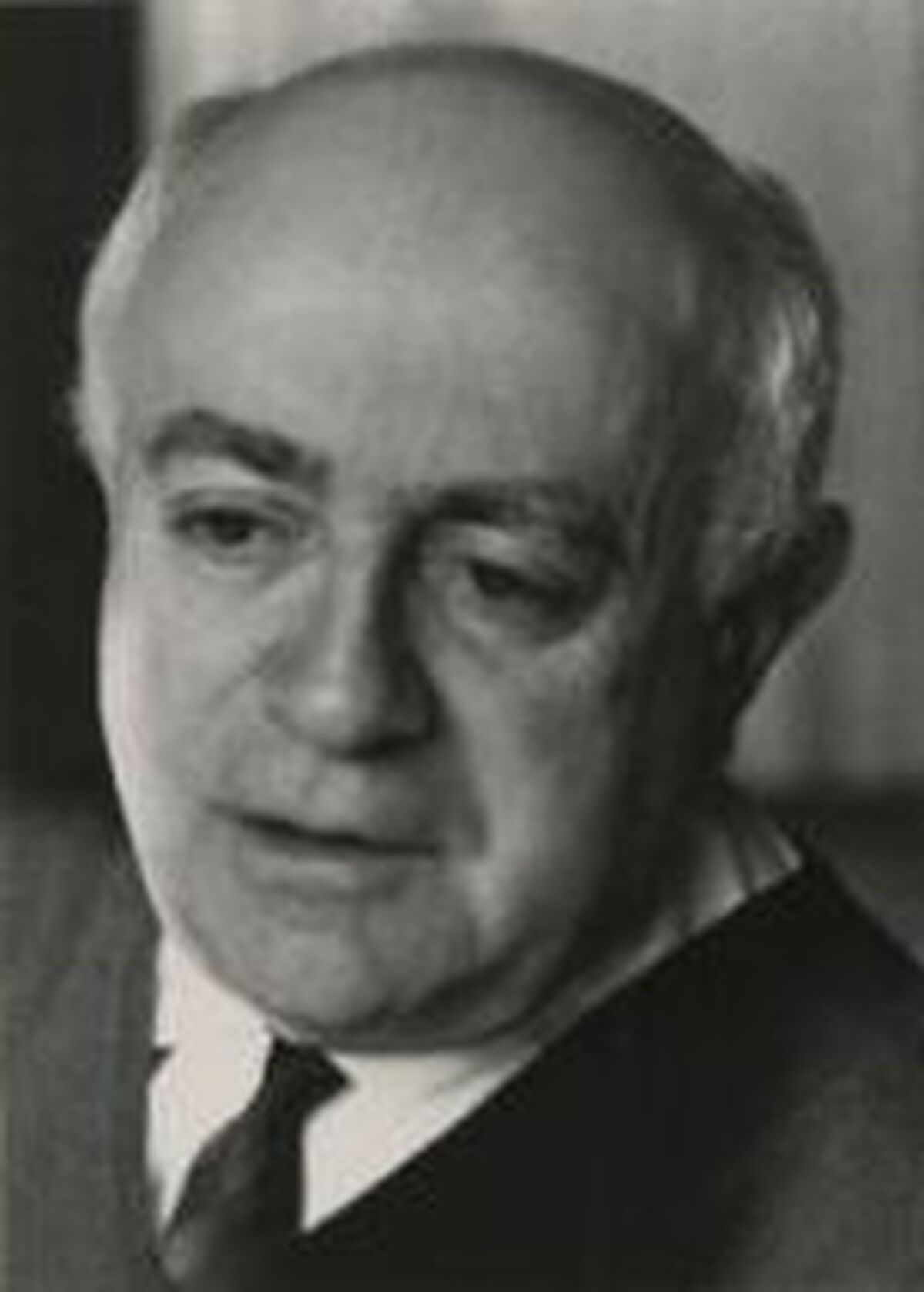 Theodor W. Adorno 黑白人物肖像