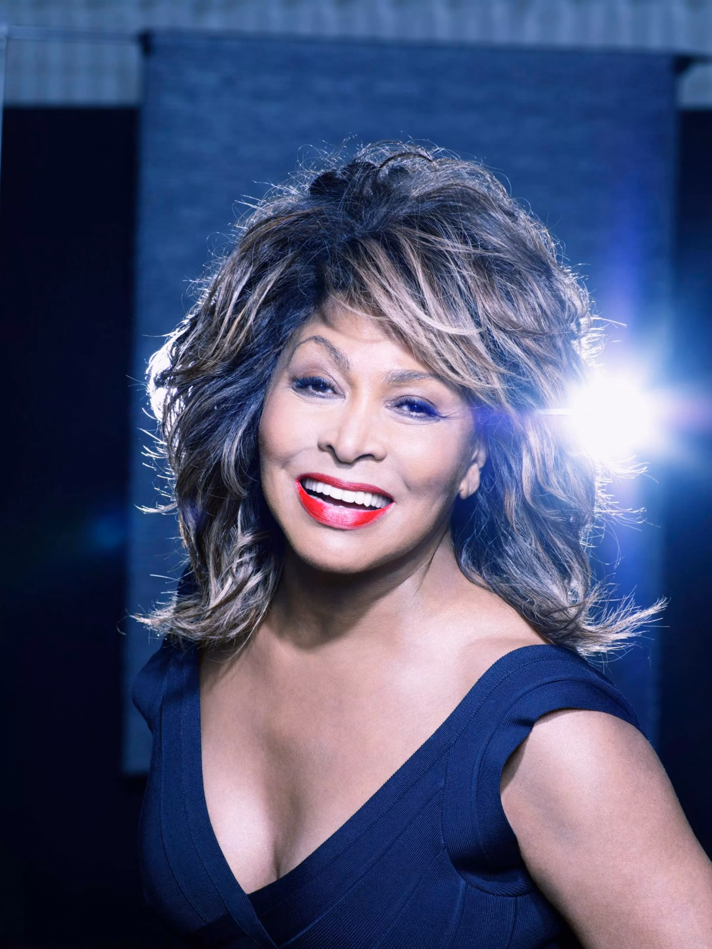 Tina Turner Recording Academy 官方人物圖