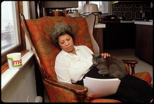 Toni Morrison 《寵兒》作者與美國小說家官方人物照片